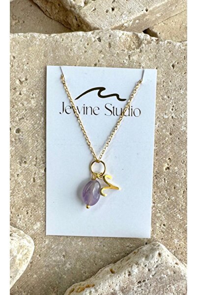 jewine studio Aries Symbol and Amethyst Natural Stone Steel Necklace