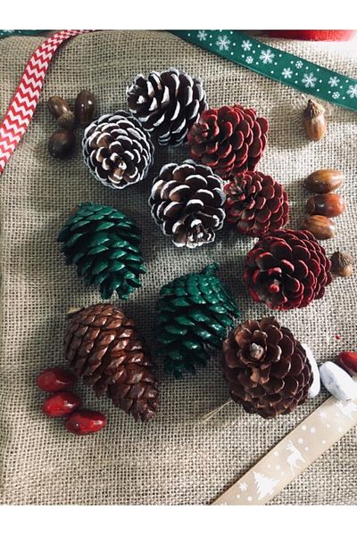 Merisas New Year's Concept Painted 10-Piece Decorative Pine Pines & Decoration Pines & Presentation Pines