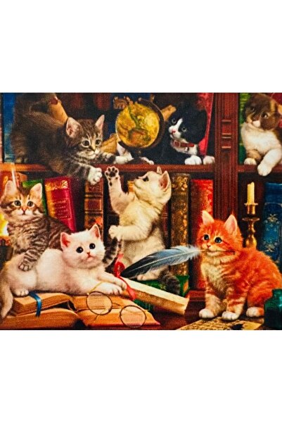 Genel Markalar Hı Stone 5d Elmas Boncuk Taş Işleme Mozaik Goblen Kit 50x40cm Gc84265