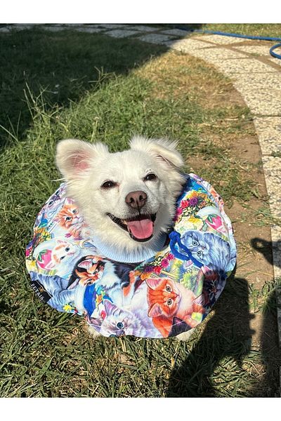 Petris Cat-Dog Collar-Elizabeth Collar Operation Neck Collar-Cat Neck Pillow (Special Fabric)Cat Garden