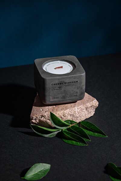 TABART %100 Soya Wax Organik Beton Mum & Saksı - Chery Blossom