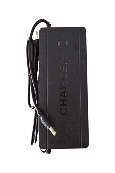 HiFree G1 Uyumlu Scooter Hızlı Şarj Aleti