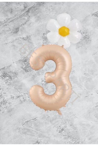 BAL10 DÜNYASI Age 3 Sand Beige Number Daisy Foil Balloon Set