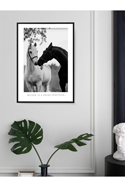 Hediye köşem Ahşap çerçeve şeffaf PVC ön koruyuculu at temalı duvar tablosu