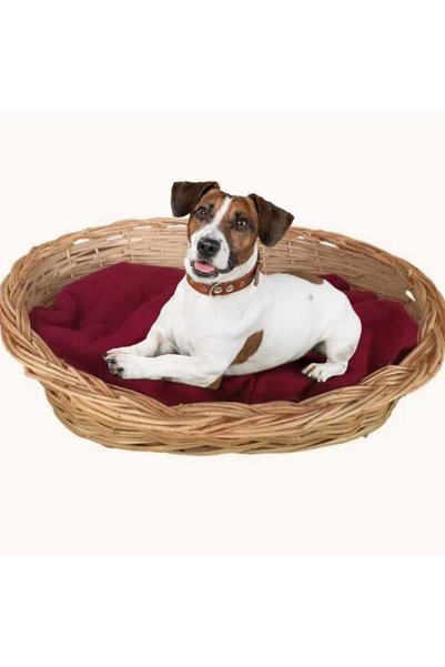 Mask El Yapımı Hasır Sepet Kedi / Köpek Yatağı