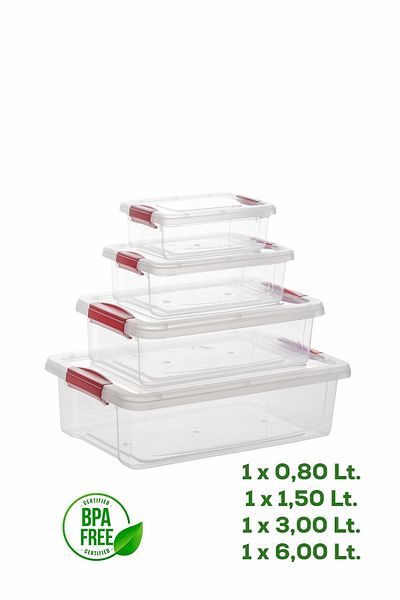 Porsima ORG-466 Fresh Set of 4 - Food Food Food and Storage Container with Leak Proof Lid