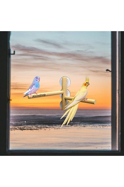aliceshop Glass Perch wiTh 3 SucTion Cups - Sultan Sevda for Birds in Heaven Budgie and Sizes