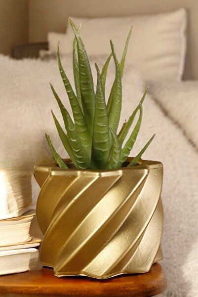 Stein Kohle Dekoratif Saksı Minik Kaktüs Saksısı Altın Renk 1 Adet Model 9