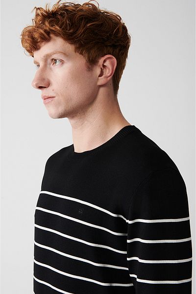 Avva Schwarzer Rayon-Strickpullover für Herren, Rundhalsausschnitt, gestreift, reguläre Passform A32y5187