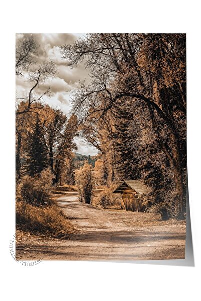Postifull Rustic Çerçevesiz Poster, İskandinav Kahverengi Tablo, NO:17 Orman ...