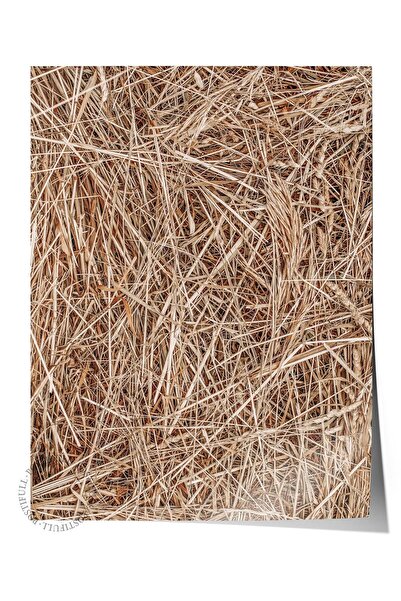 Postifull Poster rustic fără ramă, pictură nordică maro, NR:97 Fotografie cu ...