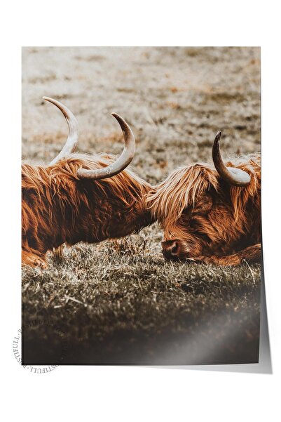 Postifull Poster rustic fără rame, pictură nordică maro, NR:56 Fotografie cu ...