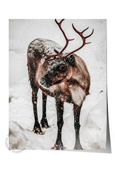 Postifull Poster rustic fără rame, pictură nordică maro, NR:113 Fotografie cu...