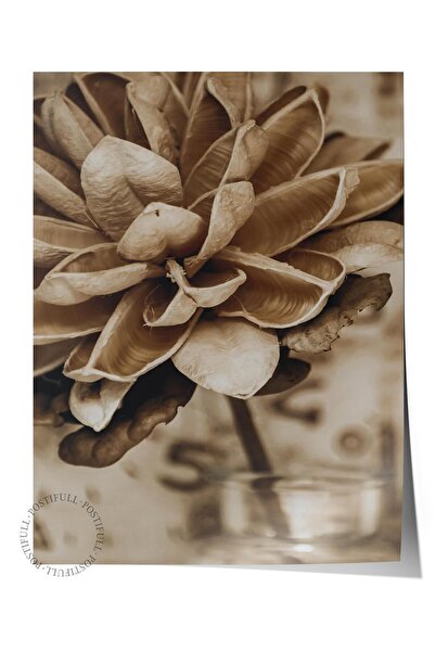 Postifull Rustic Çerçevesiz Poster, İskandinav Kahverengi Tablo, NO:28 Çiçekl...