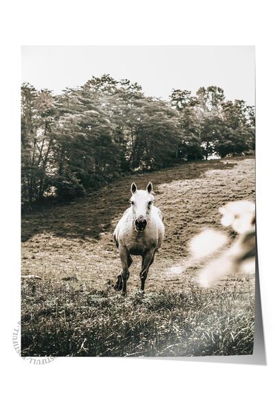 Postifull Poster rustic fără ramă, pictură nordică maro, NR:133 Fotografie cu fermieri care lucrează în câmp, Di