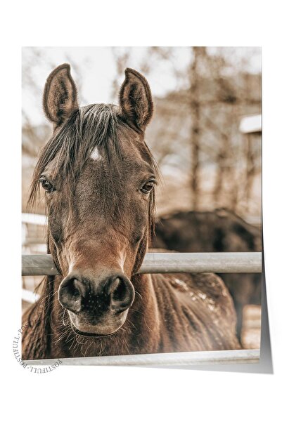 Postifull Poster rustic fără rame, pictură nordică maro, NR:132 Fotografie de...