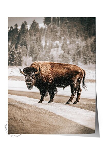 Postifull Poster rustic fără rame, pictură nordică maro, NR:128 Fotografie cu...