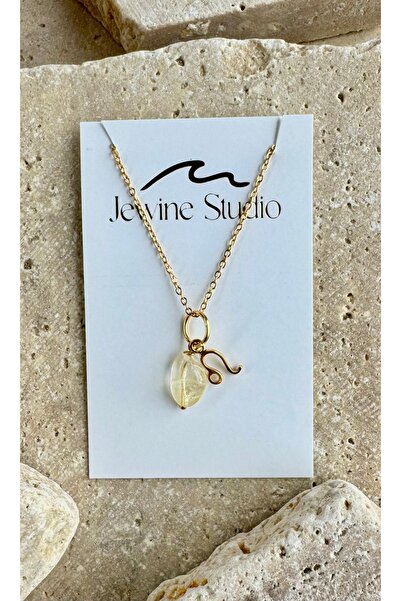 jewine studio Aslan Burcu Sembollü ve Sitrin Doğal Taşlı Çelik Kolye