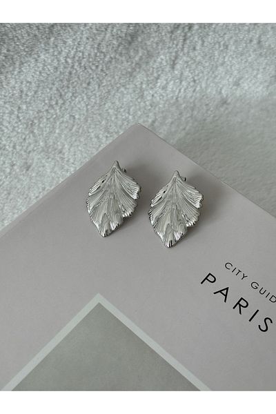 HERCY Stainless Imported Steel Earrings |   Large Size Earrings |   Steel Design Earrings