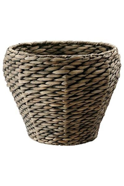 IKEA Druvflader Saksı, Su Sümbülü