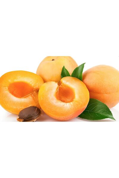 EVİM BAHÇEM Şekerpare Kayısı Fidanı Lezzetli Bol Verimli Aşılı 2-3 Yaş (160 -...