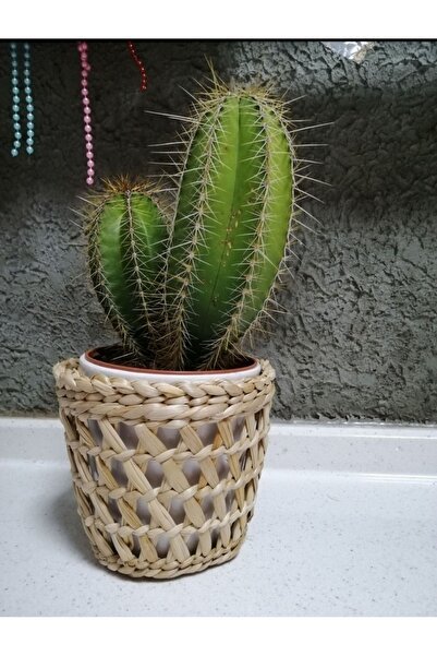 Süs Dükkanı Dekoratif hasır saksı modeli çap 21 cm