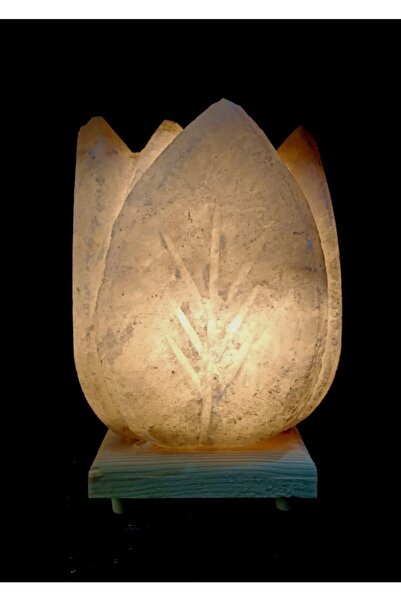 ALP-İ TUZ EVİ Çankırı Kaya Tuzu 3 Boyutlu Lale Model Tuz Lamba
