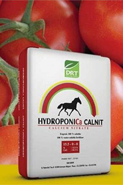 DOKTOR TARSA Dr Tarsa Kalsiyum Nt - 1 Kg