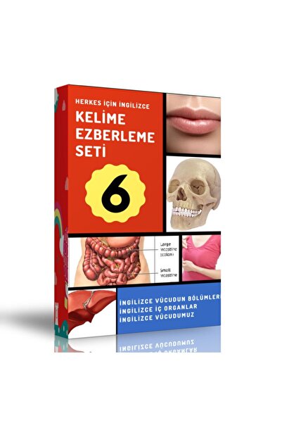 Enine Boyuna Eğitim Memorizing English Words Modular Book Set-6