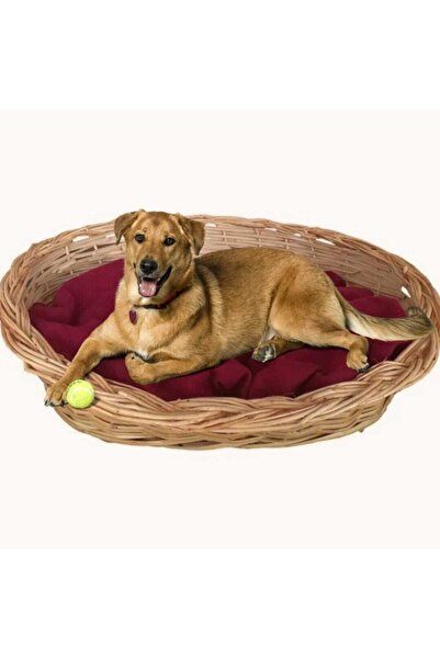 Genel Markalar El Yapımı Hasır Sepet Kedi / Köpek Yatağı