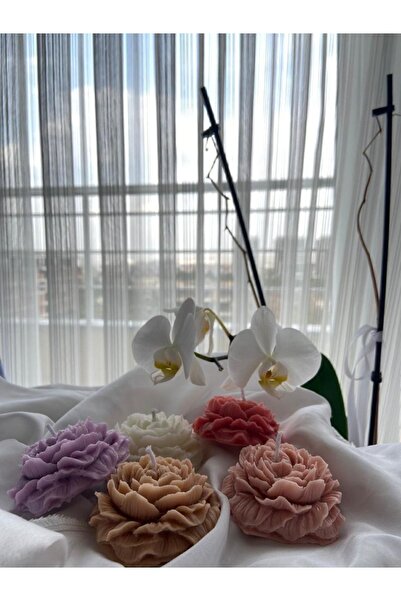 STCANDLE Şakayık Gülü Mumu 5'li Paket