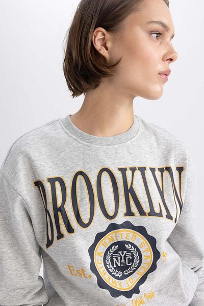 DeFacto Crew neck RegulAr Fit Thick SweAtshirt - A4741ax23wn