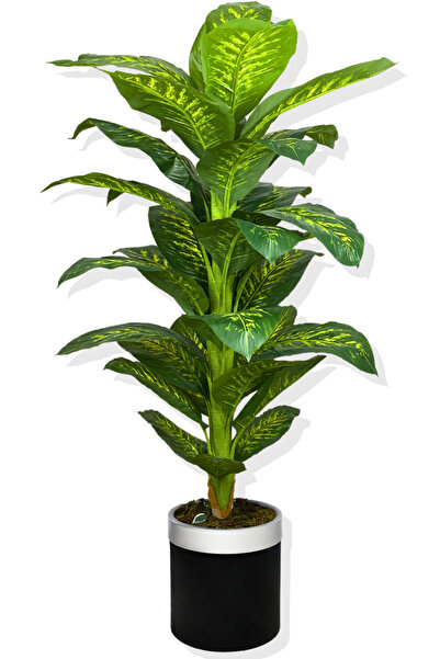 Cihan Çiçekçilik Yapay Ağaç Difenbahya 160 Cm