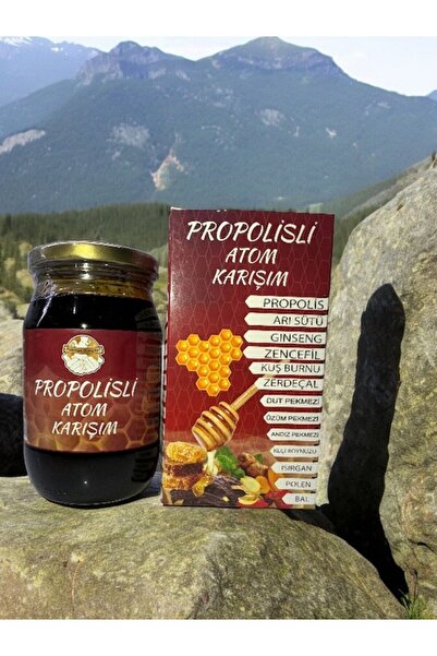 Pekmez Dünyası Propolisli Atom Karışım Macun 450gr (BİTKİSEL ŞİFA)
