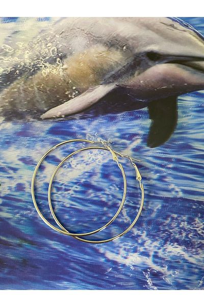 Nilperi takı Hoop Earrings