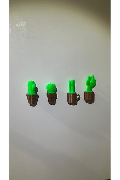 Shaddshop OrnaMent Mini Flower Pot Magnet Refrigerator Plants