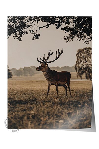 Postifull Rustic Çerçevesiz Poster, İskandinav Kahverengi Tablo, NO:23 Geyik ...