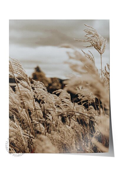 Postifull Poster rustic fără ramă, pictură nordică maro, NR:26 Fotografie cu ...