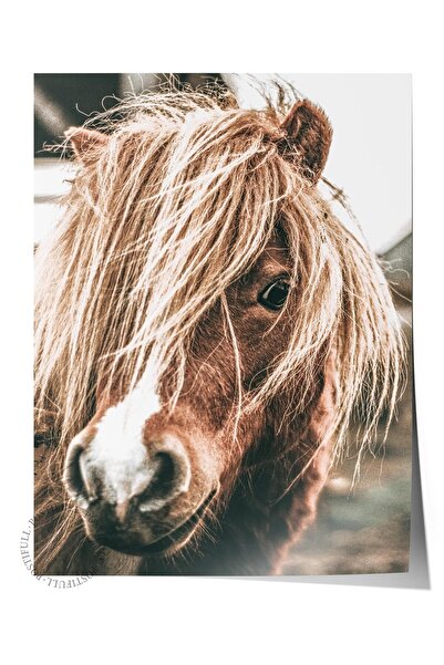 Postifull Poster rustic fără rame, pictură nordică maro, NR:60 Fotografie de ...