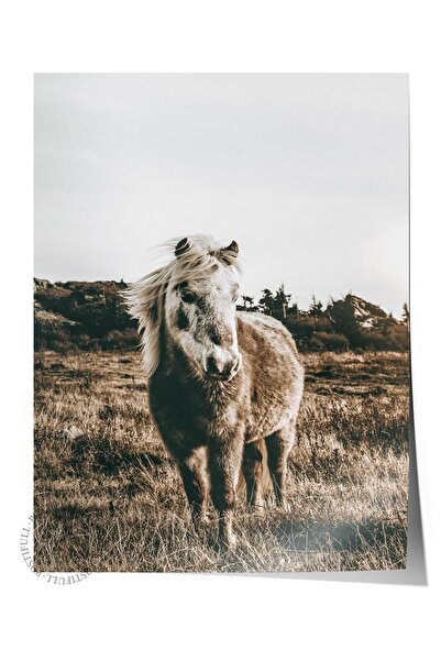 Postifull Poster rustic fără rame, pictură nordică maro, NR:136 Fotografie ca...