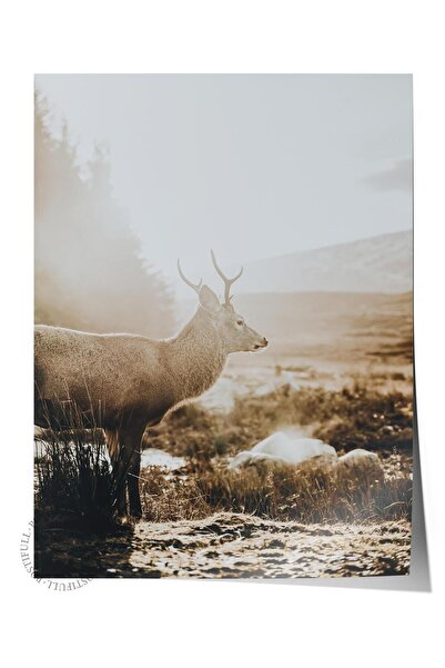 Postifull Poster rustic fără rame, pictură nordică maro, NR:27 Fotografie cu ...