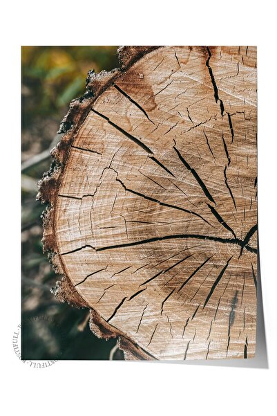 Postifull Rustic Çerçevesiz Poster, İskandinav Kahverengi Tablo, NO:130 Ağaç ...