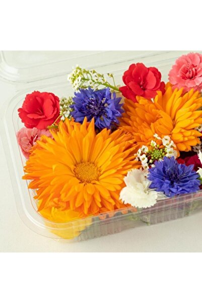 Mimi Çiftliği Yenilebilir Çiçek - Mevsimsel Karışım (büyük Paket 45 Ad)