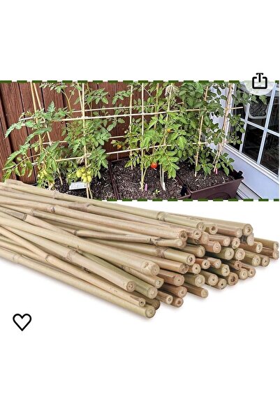 EVİM BAHÇEM Kargı Kamış (20 ADET -180 ILA 200 CM) Fidan Bitki Destek Çubuğu