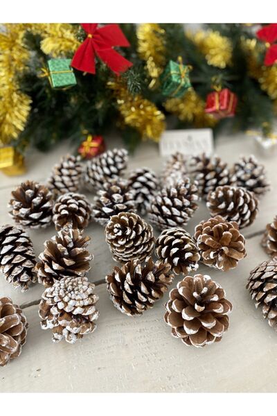 20 Pieces Christmas Ornaments Large Size Winter Decoration Painted Pine Cone with Snow Decoration