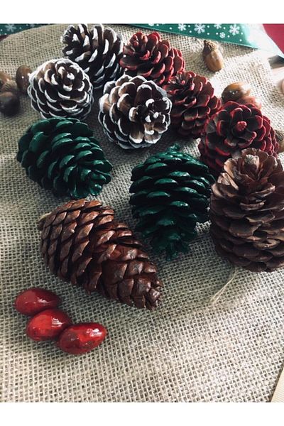 Merisas New Year's Concept Painted 10-Piece Decorative Pine Pines & Decoration Pines & Presentation Pines