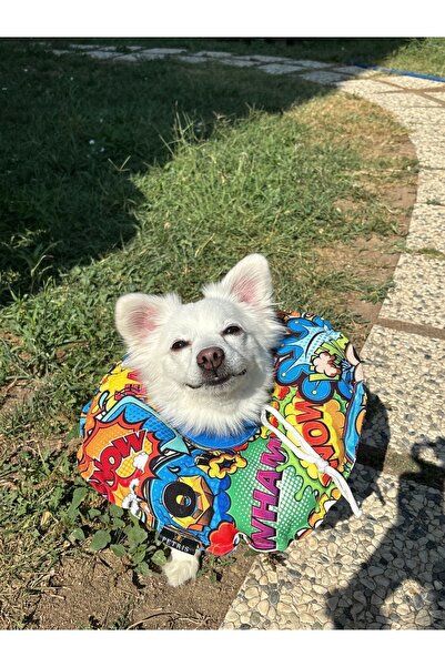 Petris Kedi Ve Köpek Boyunluk-Elizabeth Yakalık Operasyon Boyunluk-kedi Boyun...