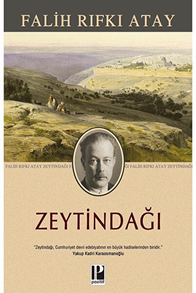 Pozitif Yayınları Zeytindağı (ciltli)