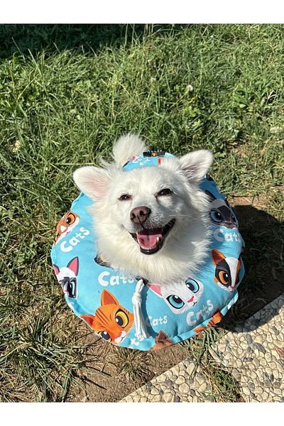 Petris Cat-Dog Collar-Elizabeth Collar Operation Neck Collar-Cat Neck Pillow (Special Fabric)Blue Cats