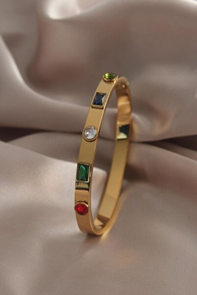 stainles steel Çelik Kelepçe